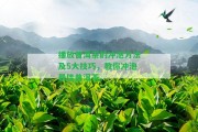 播放普洱茶的沖泡方法及5大技巧，教你沖泡最佳普洱茶。