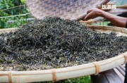 正山小種茶葉加工技術(shù)