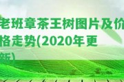 老班章茶王樹圖片及價(jià)格走勢(2020年更新)