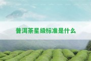 普洱茶星級(jí)標(biāo)準(zhǔn)是什么