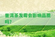 普洱茶發(fā)霉會(huì)作用品質(zhì)嗎？