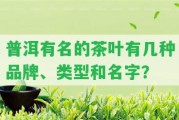 普洱有名的茶葉有幾種品牌、類型和名字？