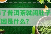 喝了普洱茶就鬧肚子的起因是什么？