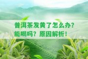 普洱茶發(fā)黃了怎么辦？能喝嗎？起因解析！