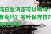 隔日普洱茶可以喝嗎？有毒嗎？茶葉保存技巧與留意事