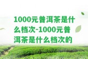 1000元普洱茶是什么檔次-1000元普洱茶是什么檔次的