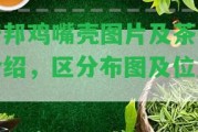 倚邦雞嘴殼圖片及茶葉介紹，區(qū)分布圖及位置。