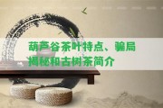 葫蘆谷茶葉特點(diǎn)、騙局揭秘和古樹茶簡介