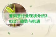 普洱茶行業(yè)現(xiàn)狀分析2022：趨勢(shì)與機(jī)遇