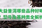 大益普洱哪些品種好喝？型號及茶種類全解析