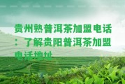 貴州熟普洱茶加盟電話：熟悉貴陽普洱茶加盟電話地址