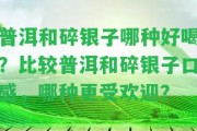 普洱和碎銀子哪種好喝？比較普洱和碎銀子口感，哪種更受歡迎？