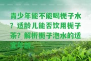 青少年能不能喝梔子水？適齡兒能否飲用梔子茶？解析梔子泡水的適宜年齡。