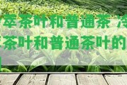 冷萃茶葉和普通茶 冷萃茶葉和普通茶葉的區(qū)別