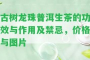 古樹(shù)龍珠普洱生茶的功效與作用及禁忌，價(jià)格與圖片