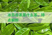 冰島古茶是什么茶，特點解析