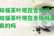 知福茶葉現(xiàn)在合格嗎 知福茶葉現(xiàn)在合格嗎是真的嗎