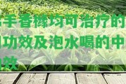 佛手香櫞均可治療的共同功效及泡水喝的中藥功效