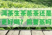 普洱茶生茶蒸茶還是煮茶更好喝？需要蒸嗎？