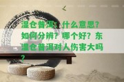 濕倉普洱：什么意思？怎樣分辨？哪個好？東濕倉普洱對人傷害大嗎？