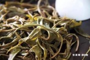 揭陽(yáng)熟普洱茶招商