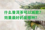 什么普洱茶可以減肥？效果最好的是哪種？