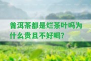 普洱茶都是爛茶葉嗎為什么貴且不好喝？