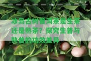 冰島古樹(shù)普洱茶是生茶還是熟茶？探究生普與熟普的功效差異