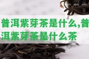 普洱紫芽茶是什么,普洱紫芽茶是什么茶