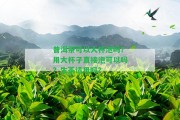 普洱茶可以大杯泡嗎？用大杯子直接泡可以嗎？生茶適用嗎？