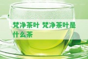 梵凈茶葉 梵凈茶葉是什么茶