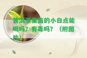 普洱茶里面的小白點能喝嗎？有毒嗎？（附圖片）