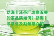 勐海璟澤茶廠冰島五寨的茶品質(zhì)怎樣？勐海璟澤茶業(yè)及勐景茶介紹