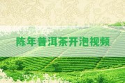 陳年普洱茶開泡視頻