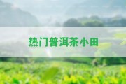 熱門普洱茶小田