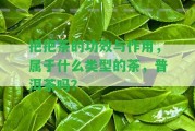 把把茶的功效與作用，屬于什么類(lèi)型的茶，普洱茶嗎？