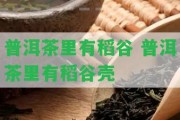 普洱茶里有稻谷 普洱茶里有稻谷殼