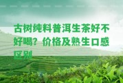 古樹純料普洱生茶好不好喝？價格及熟生口感區(qū)別