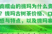 南糯山的拔瑪為什么貴？拔瑪古樹茶價格、口感與特點，以及拔瑪寨的歷。