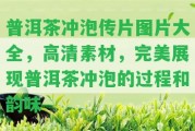 普洱茶沖泡傳片圖片大全，高清素材，完美展現(xiàn)普洱茶沖泡的過(guò)程和韻味