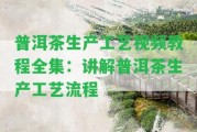 普洱茶生產工藝視頻教程全集：講解普洱茶生產工藝流程