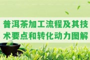 普洱茶加工流程及其技術(shù)要點和轉(zhuǎn)化動力圖解