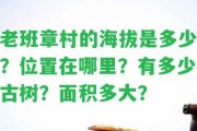 老班章村的海拔是多少？位置在哪里？有多少古樹(shù)？面積多大？