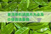 普洱茶形狀圖片大全及價格高清集錦