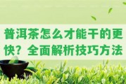 普洱茶怎么才能干的更快？全面解析技巧方法