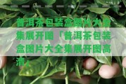 普洱茶包裝盒圖片大全集展開(kāi)圖「普洱茶包裝盒圖片大全集展開(kāi)圖高清」