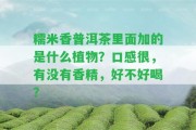 糯米香普洱茶里面加的是什么植物？口感很，有不存在香精，好不好喝？