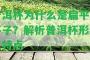 普洱杯為什么是扁平的杯子？解析普洱杯形狀與特點(diǎn)