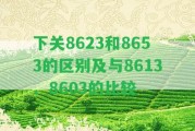 下關(guān)8623和8653的區(qū)別及與8613、8603的比較