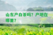 山東產(chǎn)白茶嗎？產(chǎn)地在哪里？